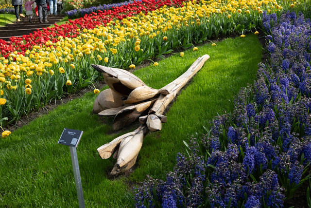Amsterdam mama 2026-4904.jpg